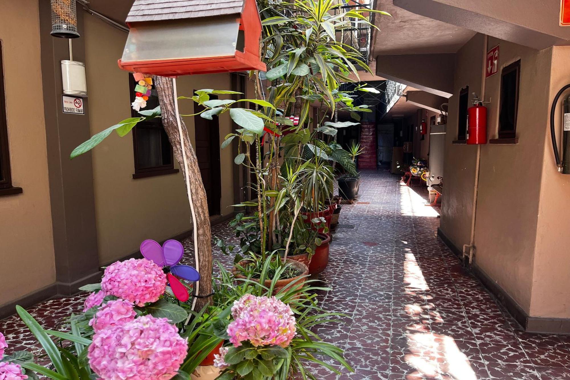 Oyo Hotel Linda ティファナ エクステリア 写真