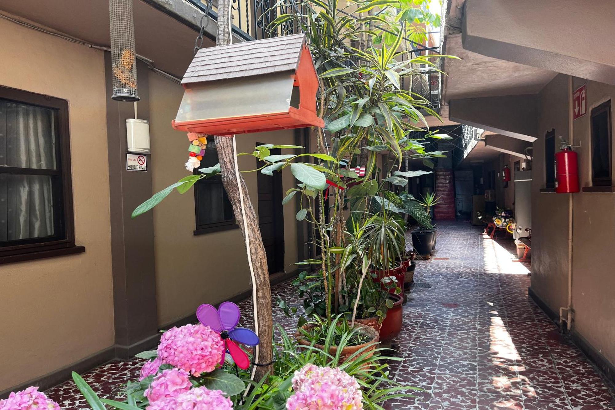 Oyo Hotel Linda ティファナ エクステリア 写真