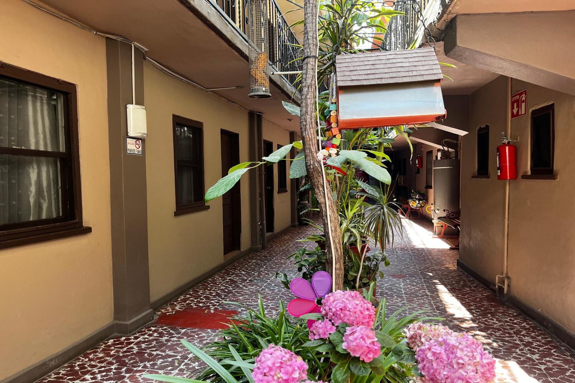 Oyo Hotel Linda ティファナ エクステリア 写真